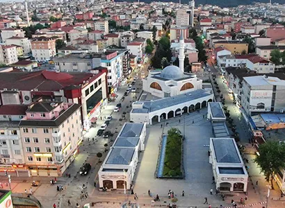 Sultanbeyli Haşere ve Kemirgen Kontrolü