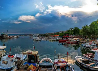 Tekirdağ Haşere ve Kemirgen Kontrolü