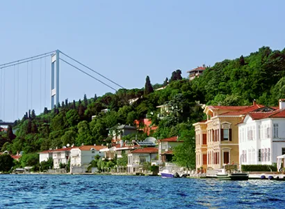 Beykoz Haşere ve Kemirgen Kontrolü