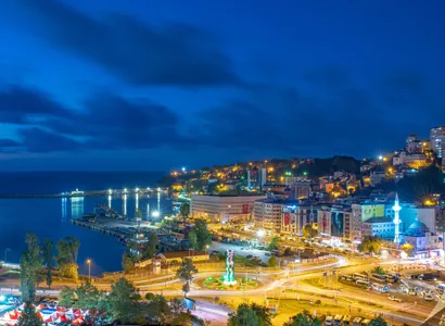 Zonguldak Ereğli Haşere ve Kemirgen Kontrolü