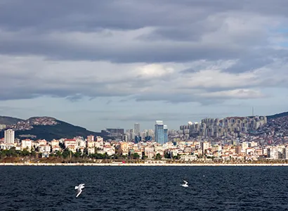 Maltepe Haşere ve Kemirgen Kontrolü