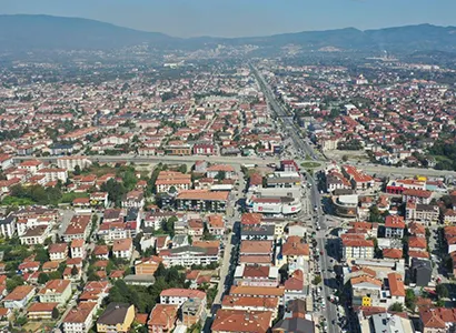 Düzce Haşere ve Kemirgen Kontrolü