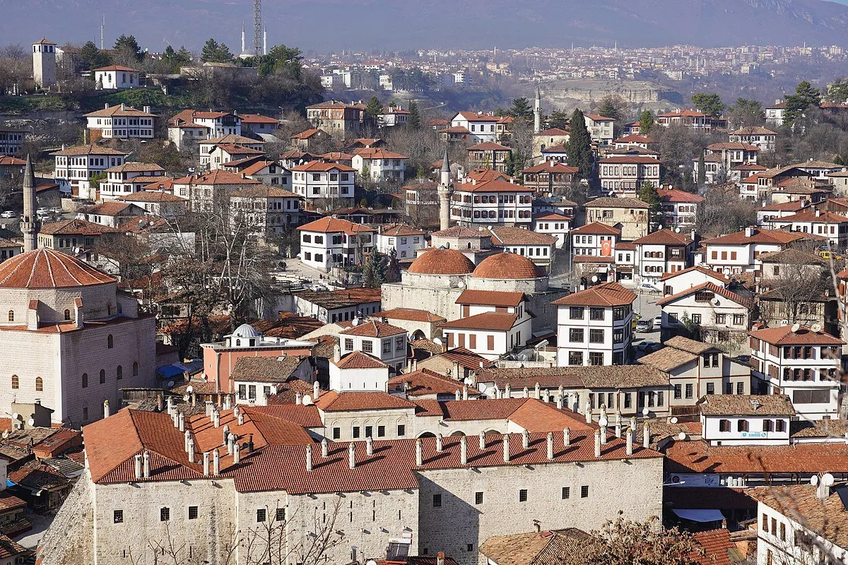 Karabük Haşere ve Kemirgen Kontrolü