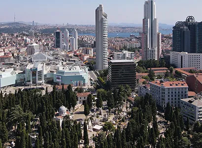 Şişli Haşere ve Kemirgen Kontrolü