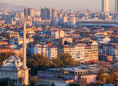 Kadıköy Haşere ve Kemirgen Kontrolü