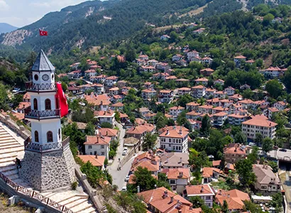 Bolu Haşere ve Kemirgen Kontrolü