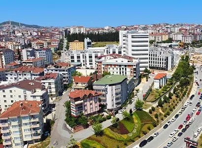 Gebze Haşere ve Kemirgen Kontrolü