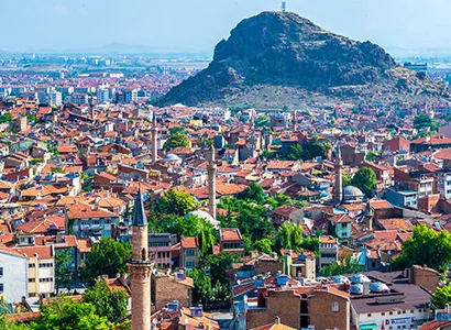 Afyon Haşere ve Kemirgen Kontrolü